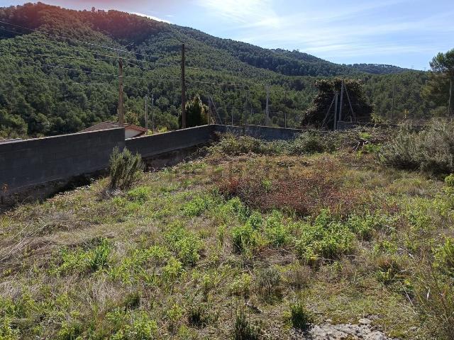Terreno, Vallirana