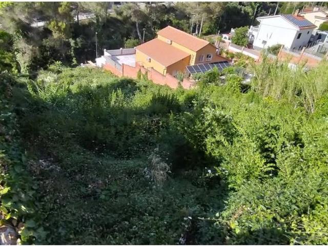 Terreno, Vallirana
