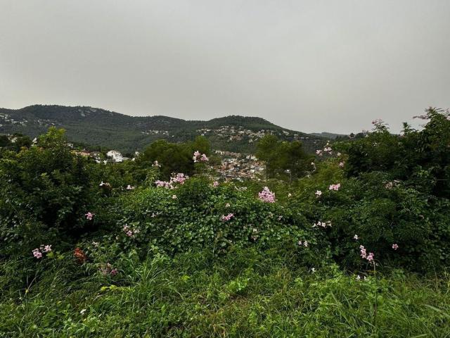 Terreno, Vallirana