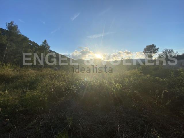 Terreno, Vallirana