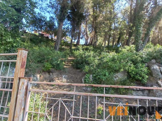 Terreno, Vallirana