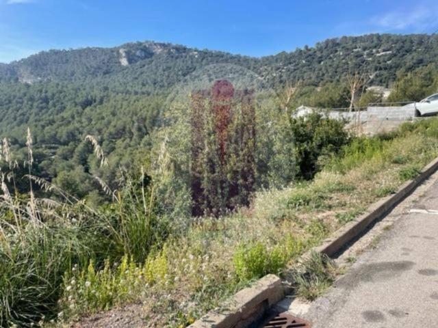 Terreno, Vallirana