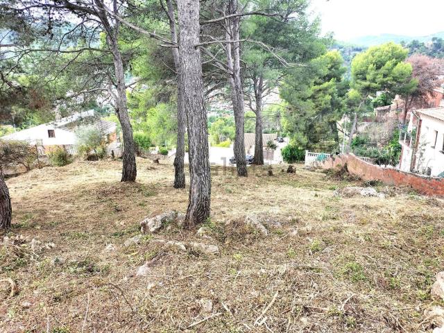 Terreno, Vallirana