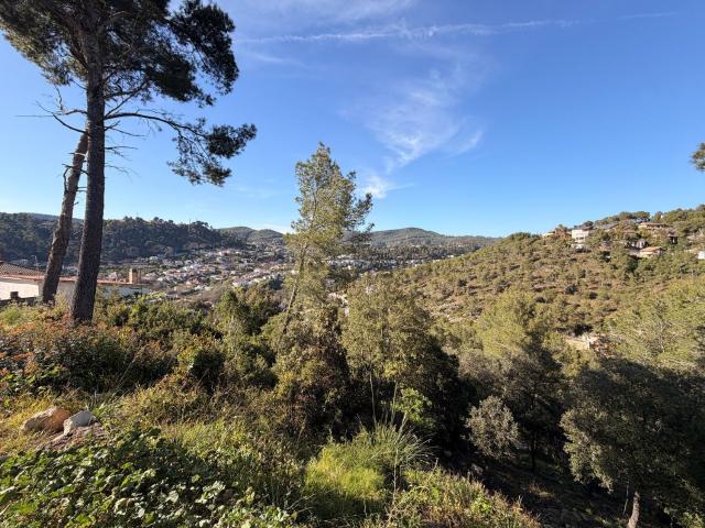 Terreno, Vallirana
