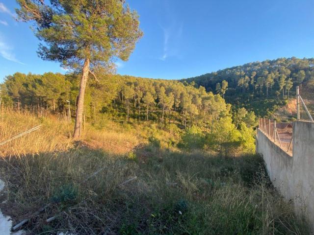 Terreno, Vallirana