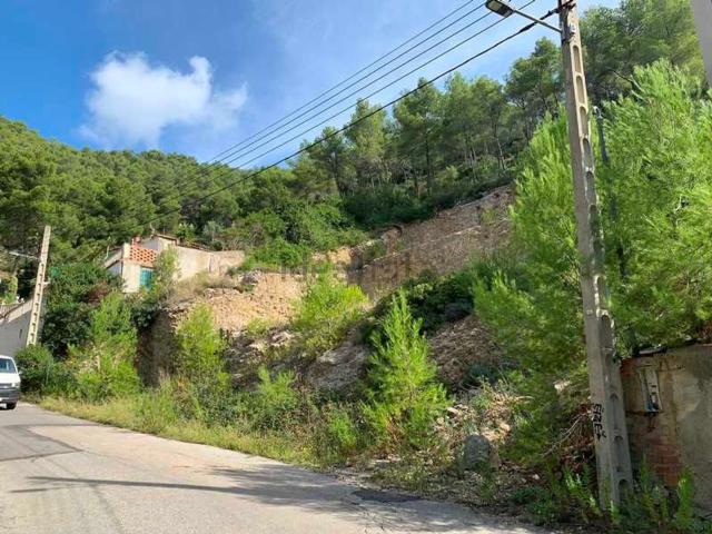 Terreno, Vallirana