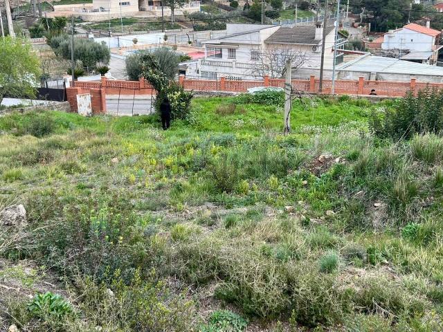 Terreno, Vallirana