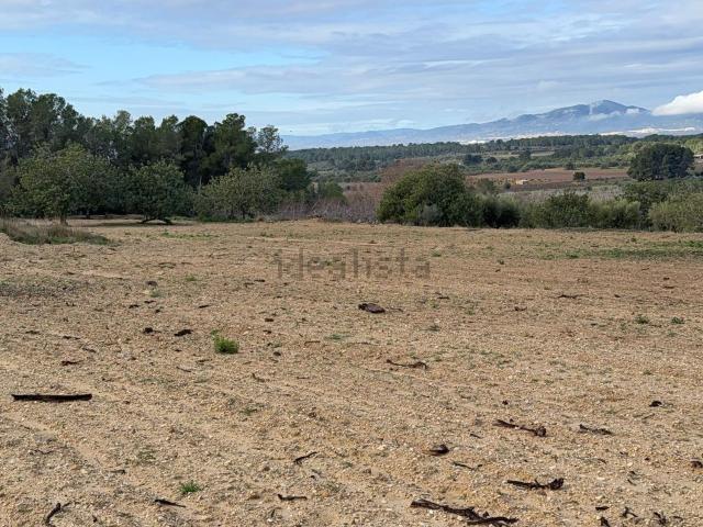 Terreno, Vallmoll