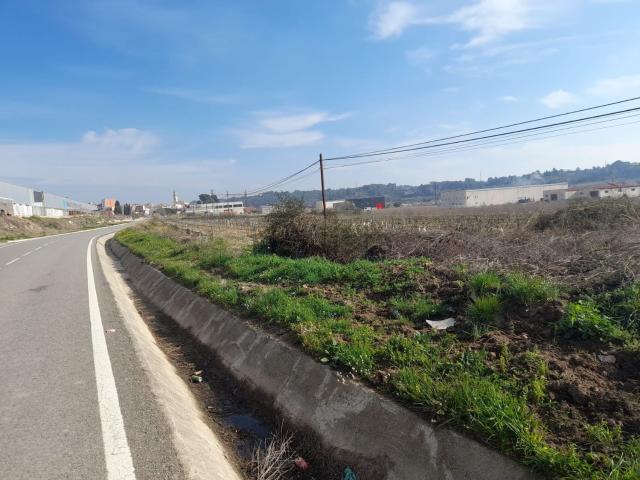Terreno, Vallmoll