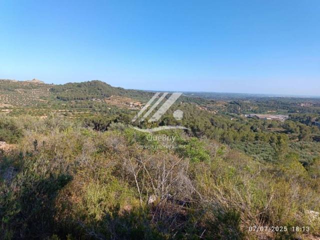 Terreno, Valls