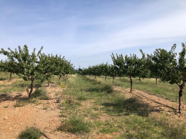 Terreno, Valls