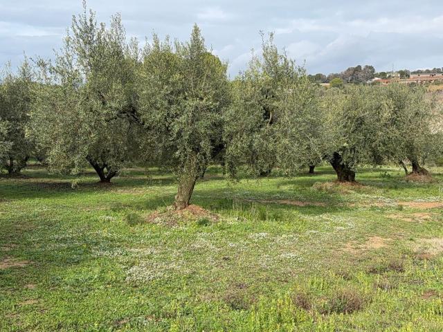 Terreno, Valls