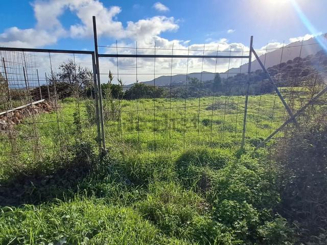 Terreno, Valsequillo de Gran Canaria