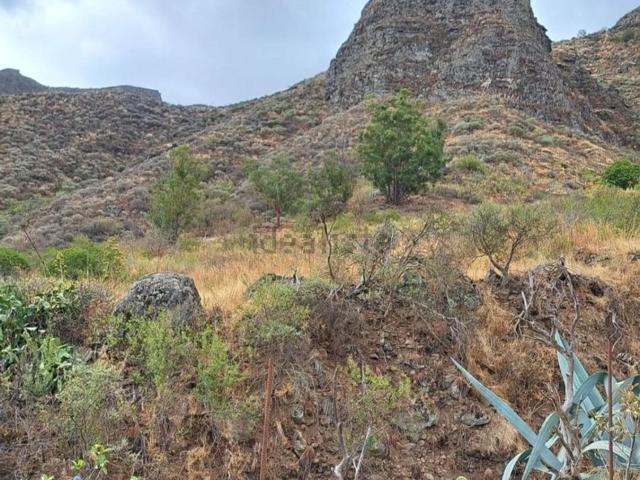 Terreno, Valsequillo de Gran Canaria