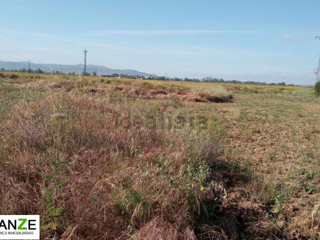 Terreno, Valverde de Mérida