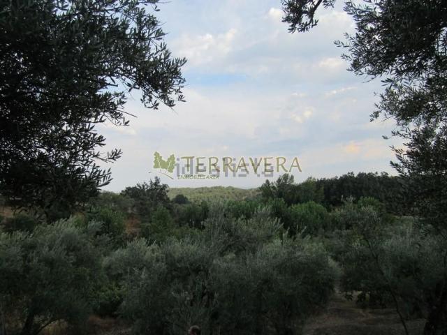 Terreno, Valverde de la Vera