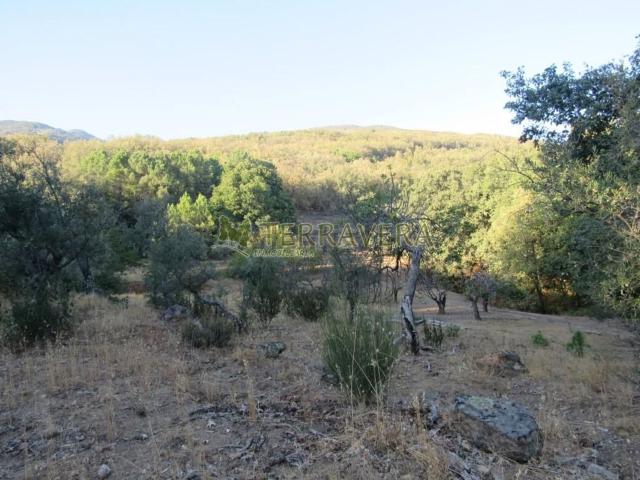 Terreno, Valverde de la Vera