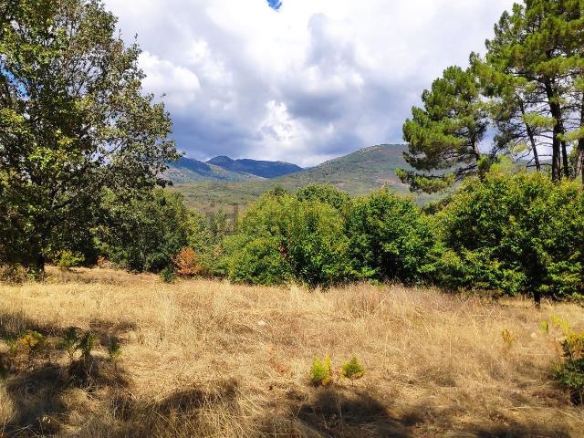 Terreno, Valverde de la Vera