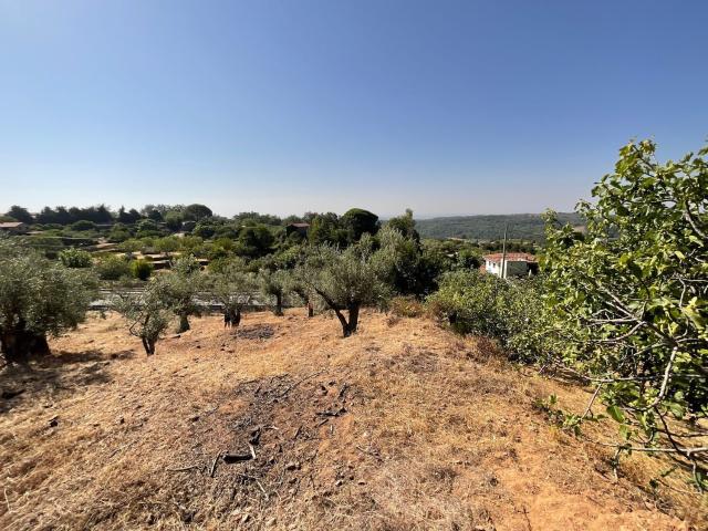 Terreno, Valverde de la Vera