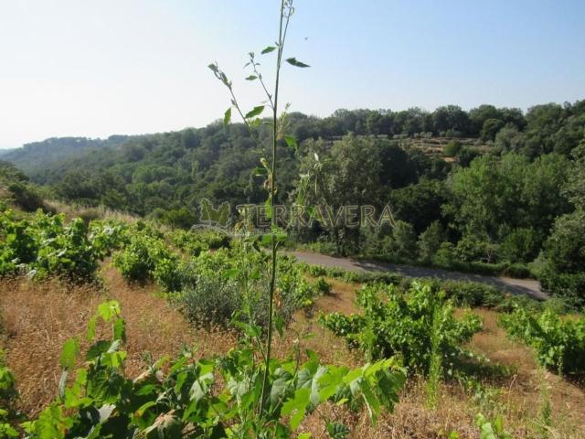 Terreno, Valverde de la Vera