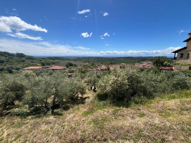 Terreno, Valverde de la Vera