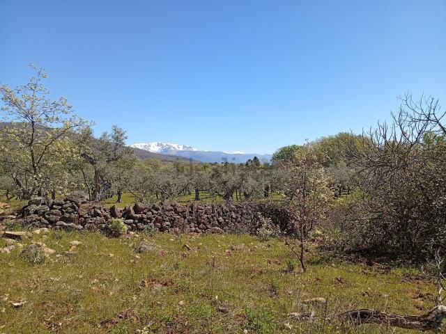 Terreno, Valverde de la Vera