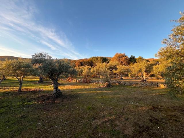 Terreno, Valverde de la Vera