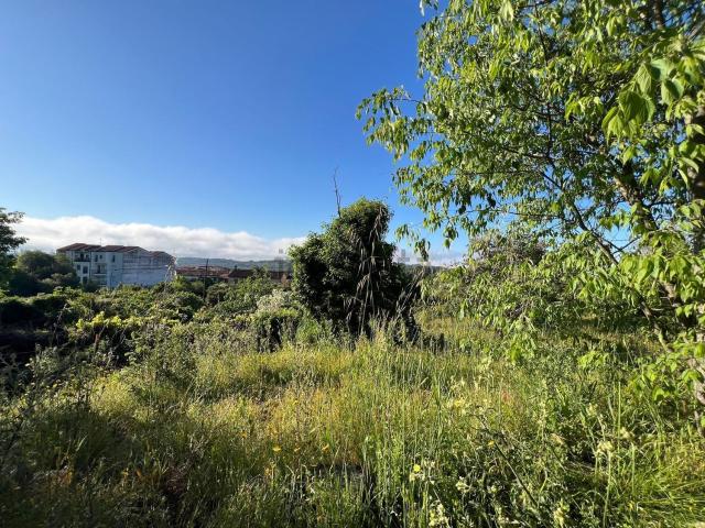 Terreno, Valverde de la Vera