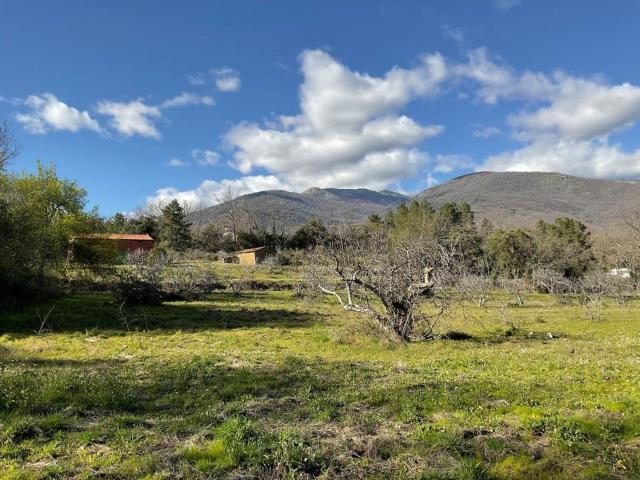 Terreno, Valverde de la Vera