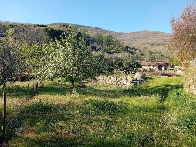 Terreno, Valverde de la Vera
