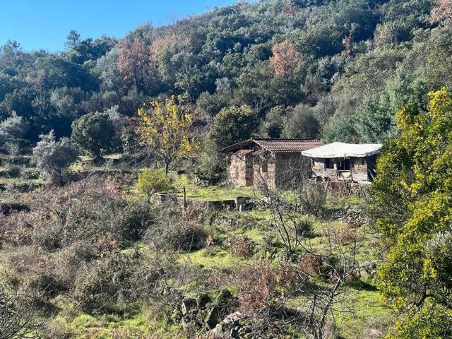 Terreno, Valverde de la Vera