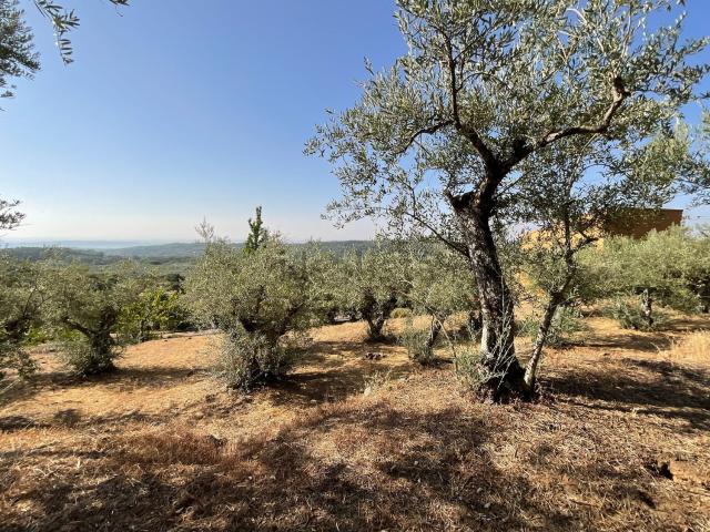 Terreno, Valverde de la Vera