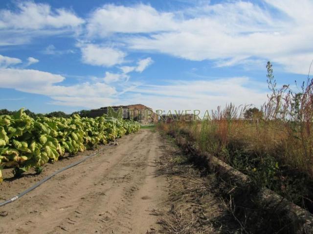 Terreno, Valverde de la Vera