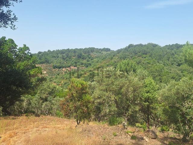 Terreno, Valverde de la Vera