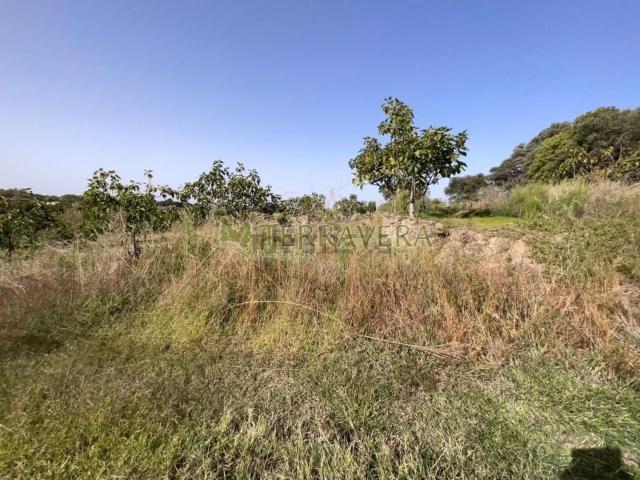 Terreno, Valverde de la Vera