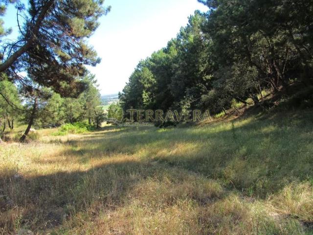 Terreno, Valverde de la Vera