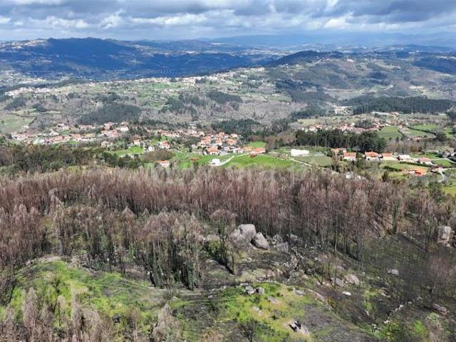 Terreno, Várzea, Aliviada e Folhada, Marco de Canaveses | BPI Expresso Imobiliário