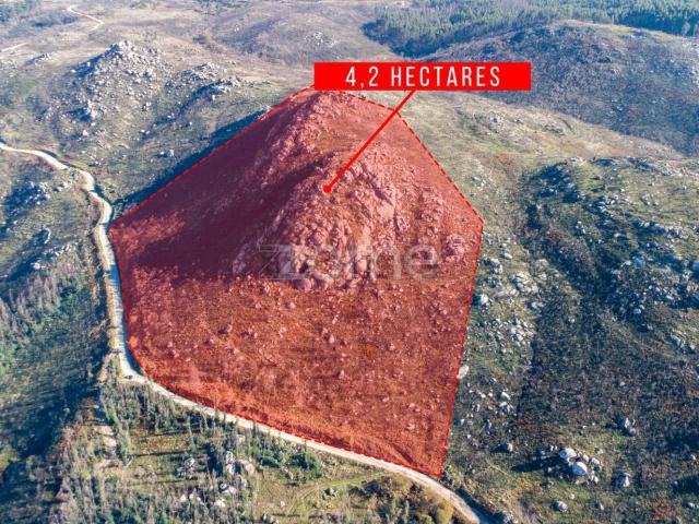 Terreno, Várzea Aliviada Folhada