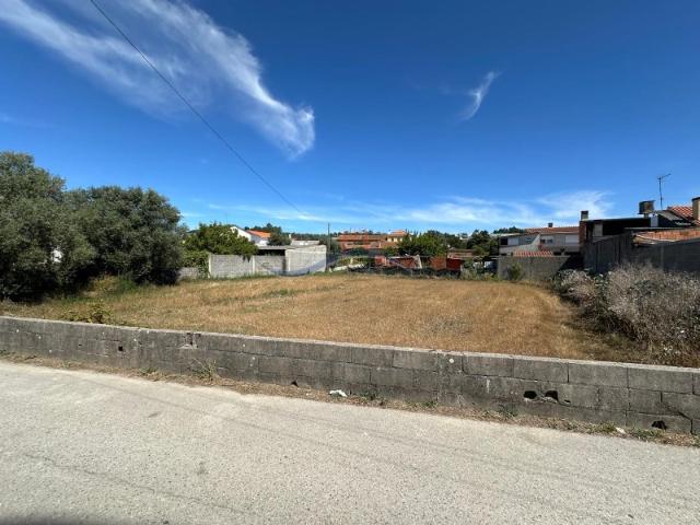 Terreno Várzeas, Souto da Carpalhosa