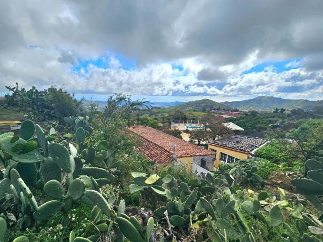 Terreno, Vega de San Mateo