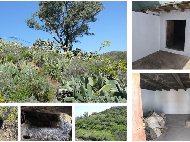 Terreno, Vega de San Mateo