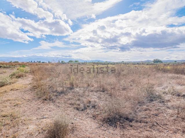 Terreno, Cullar Vega