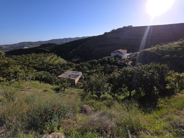 Terreno, Vélez Malaga