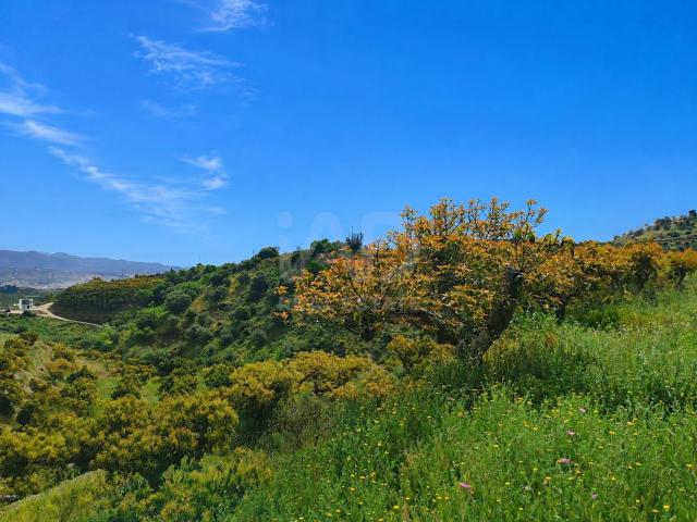 Terreno, Vélez Malaga