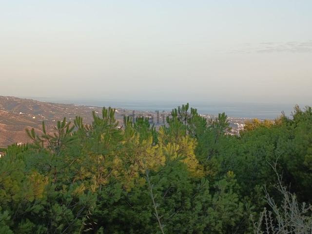 Terreno, Canillas de Aceituno