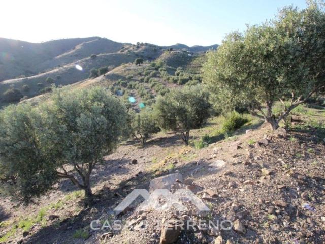 Terreno, Vélez Malaga