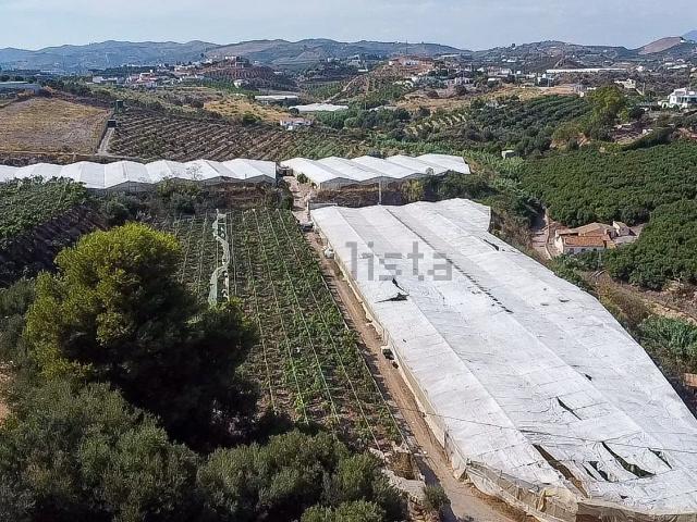 Terreno, Vélez Malaga