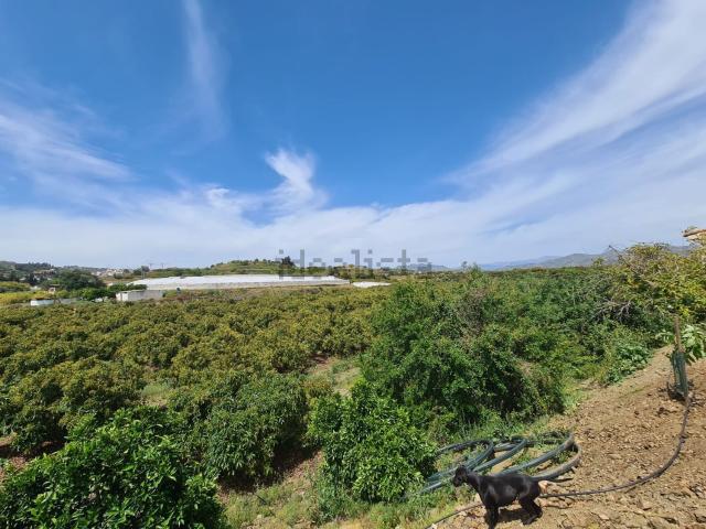 Terreno, Vélez Malaga