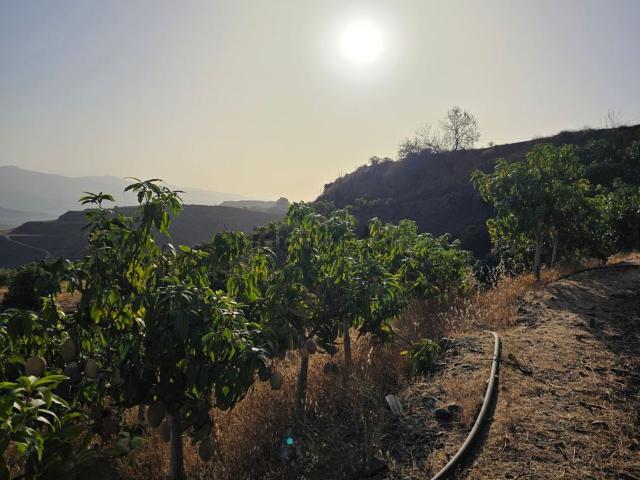 Terreno, Vélez Malaga