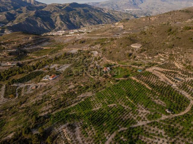 Terreno, Vélez de Benaudalla